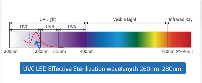 UV-LED-_02_02(1)